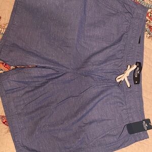 Hollister Men's Light Blue Athletic Shorts